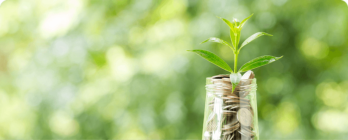 Early-stage Startups